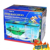 격리 구피새끼 부화통 산란 치어항 분리통