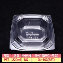 DL-103 투명도시락 일회용반찬용기 샐러드 100개, 1개