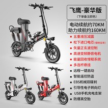 접이식 경량 전기자전거 배라 배달용 라이딩, 8.플라이호크 720Wh