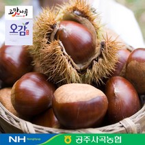 농협 선별 공주 알밤 일반밤 2kg(대) / 2022년 햇밤 chestnut