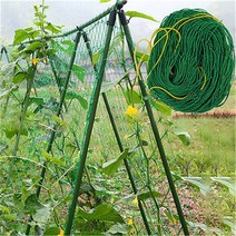 원예 용품 1.8x0.9m 정원 울타리 나일론 격자 그물 등반 콩 식물 멜론 과일 나팔꽃 등나무, 01 green