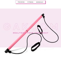 집에서 할수있는 운동 가정용리포버 여자 홈트 홈트레이닝 기구 뱃살빼는운동 임산부운동, 핑크