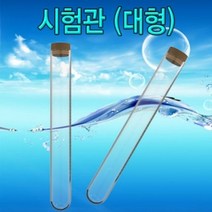 시험관 대형 10개