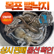산지직송 고흥 뻘 낙지 중.소낙지(1미당 60~100g)
