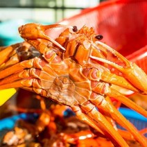 자연맛남 [자연맛남] 속초 붉은대게 자숙 홍게 3kg 10-12미(라면용/수율50이하)