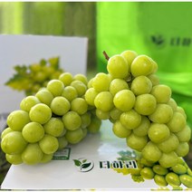 박수병 농부의 프리미엄 선물용 샤인머스켓 김천 경산 에어포장 프리미엄 제철과일 씨없는 망고 포도 장인 명절 선물 세트 샤인머스캣, 1. 프리미엄샤인머스켓1.5kg(2수)