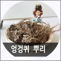SC1 국내산 엉겅퀴 뿌리 300g 대계근, 상세페이지 참조