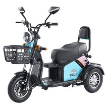 전기 삼륜차 삼발이오토바이 세발 스쿠터 노인 바이크, 배터리 없는 디럭스 버전 48V 베어카48V