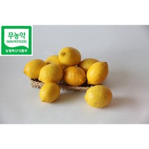 [레몬올레농장] 제주친환경 레몬 생과 ( 레몬 3kg 레몬 5kg 레몬 9kg)