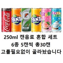 [취향저격] 캔음료수 혼합세트 6종 5캔 총30캔 코카콜라 제로 환타 오렌지 파인애플 이온음료 롯데칠성 게토레이 해태음료 코코팜 화이트 피치핑크 복숭아 가정용 업소용 학교 사무실, 1set, 250ml