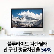 클린에이지 블루라이트 차단 시력보호 필터, 노트북 14.1인치 (P140AB)