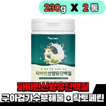 파바빈콩 단백질 파바빈 추출물 분말 가루 구아검가수분해 식물성단백질 프로틴 락토페린 유산균 음식 식품, 2통(230g)