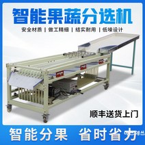 과일선별기 컨베이어 자동 오렌지 방울토마토 감귤 선별기 과일분리기 백향과 농작물, 오렌지 전용