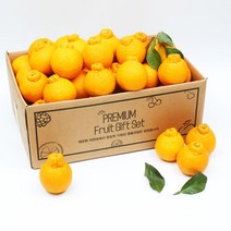 제주삼촌 22년 한라봉 새콤달콤 제주 노지한라봉 10kg 5kg 3kg, 노지 한라봉 5kg 중과