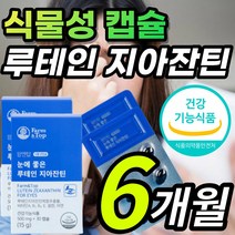 식물성 캡슐 루테인 지아잔틴 루태인 뉴테인 누태인 류태인 루테린 황반색소밀도 포도씨유 빌베리 눈에 좋은 침침한 흐릿한 답답한 눈 노화 건강 보호 도움 영양제 추천 + 알 약 케이스, 1개, 6개월