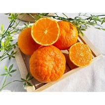 [산지직송] 제주 프리미엄 고당도 수라향 로얄혼합과, 수라향 9kg 로얄혼합과(60과 내외)