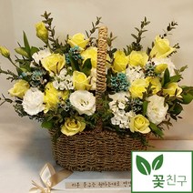꽃친구 노란 러블리 기념일 청혼 프로포즈 출산 졸업식 축하 꽃다발 꽃바구니 꽃배달 케이크배달 당일배송가능 전국꽃배달, 화사해, 케이크3(33.000원)