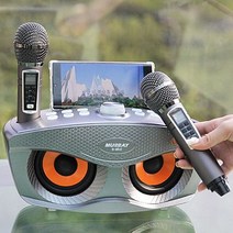 집노래방 블루투스 차량용 이동식 휴대용 가정용 노래방기계, sp_S-Bird