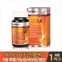 캐나다 직구 비타민B 컴플렉스 콤플렉스 정 알약 타입 복합 비타민 비 군 영양제 비타민 비6 비12 C 씨 시 엽산 비오틴 식약처 안전성 인증 건강기능식품, 1개, 90정