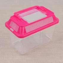 곤충 채집통 미니
