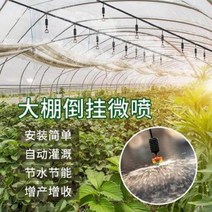화분 튜브식 농업용스프링클러 미세 안개농지 주화설비 스프링클러 시스템 회전살수농업, 01 싱글 18m 8세트 회전 노즐