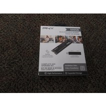 PNY M280CS2140-500킷-RB 500gb SSD Internal - /
