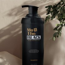 새치에서 해방 획기적인 제품 블랙새치 염색삼퓨 500ml 단푸/부스트세트