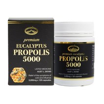 네이쳐스탑 유칼립투스 프로폴리스 5000mg 120정