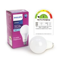 필립스 LED전구 18.5W 주광색(6500K) G95 2180루멘, 1개, 필립스 LED 18.5W 주광색