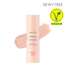 듀이트리 어반쉐이드 피치 라이크 톤업 선스틱 13g SPF50+PA++++