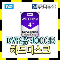 Western Digital CCTV용 저장장치 HDD, 4TB