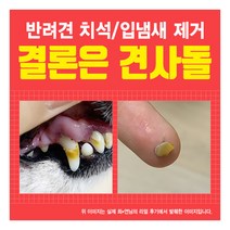 [견사돌] 반려견 치아건강간식 3박스+1박스, 종류:소형견용 연어맛