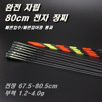 80cm 완전자립 전자 장찌 민물 전자찌 스마트찌 민물낚시찌 하우스 찌 중층 수제 고부력 저부력 내림 나노 올림찌 장찌, PQ13(70cm/3.0g)