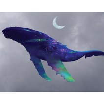 우주를 품은 고래 그림 인테리어 그림액자 peaceholic, 10P (﻿53cmX41cmX2cm), 1.머리위달