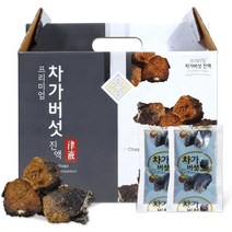 건강중심 차가버섯 진액 엑기스 100ml 60포, 1박스