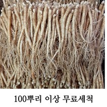 삼계탕용 갈비탕용 작은 실삼계 무료세척 실속형 100뿌리이상, 실삼계500g(100-140뿌리), (세척해주세요O)