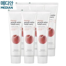플레시아 피치민트향 치약(120gx3입), 120g, 2개