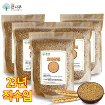 터키산 호라산밀 5kg(1kgx5팩) 착한 탄수화물, 5개