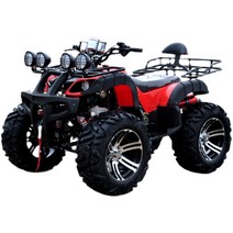 4륜 오토바이/4륜 바이크 산악 농사 농촌/200cc/ATV, 빅불 패키지 식스 200cc 디럭스 에디션
