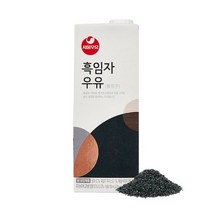 서울우유 흑임자우유 750ml, 16개