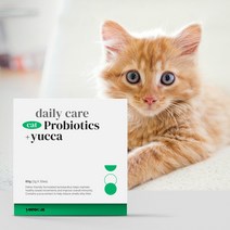 요로캣 고양이 영양제 식물성 유산균 4세대 프로바이오틱스 휴먼그레이드 면역력 장건강, 5박스