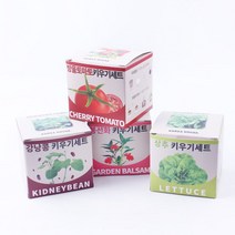 지피포트 키우기세트 봉선화 방울토마토 상추 강낭콩 0.3106ea, RA_ 방울토마토