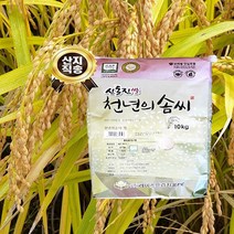 천년의솜씨 부안 청정지역 밥맛좋은 맛있는 신동진쌀 백미 햅쌀 10kg 20kg, 1박스