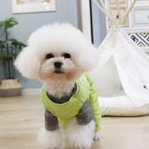 슈나우저 옷 소형견 올인원 산책룩 비숑 스피츠, 와인 레드