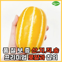 로얄과 성주참외 성주꿀참외 3kg 5kg 산지직송, 프리미엄 로얄과 5kg (17과 내외) 추천