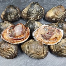 서천 왕 피조개 왕꼬막 피꼬막 밥도둑 제철, 1박스, 피조개1kg 3-6미