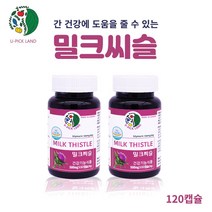 유픽랜드 밀크씨슬 헬퍼 밀크시슬 실리마린 카르두스 마리아누스 고함량 숙취 음주전후 간기능개선제 피로회복 만성피로 엉겅퀴뿌리 서양민들레뿌리 아티초크 실리빈 간 건강 보조제 씰리마린 간에좋은영양제, 120회분, 0.5g