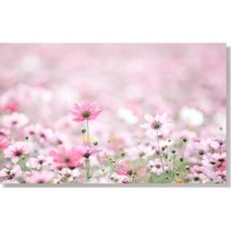 핑크 코스모스 꽃그림 액자 건물복도 음식점 벽인테리어 액자선물 이쁜그림, 캔버스액자(옆면연장)