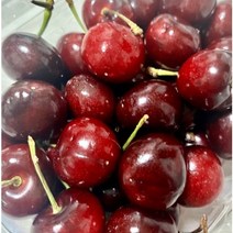 생 체리 수입산 프리미엄 고당도 500g 1kg 항공직송 신선 체리 Cherry, 프리미엄 생체리 500g, 1개