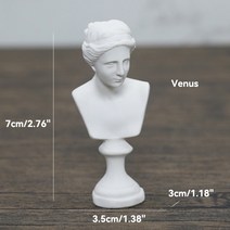 장식품 두꺼비 석고상 대형피규어쟁반 곰돌이트레이 조각상 정원 실내 실외 장식 유니크 그리스 신화 여신 영웅 흉상 입상 조각 동상 석고 스케치 연습 모델 방, 금성